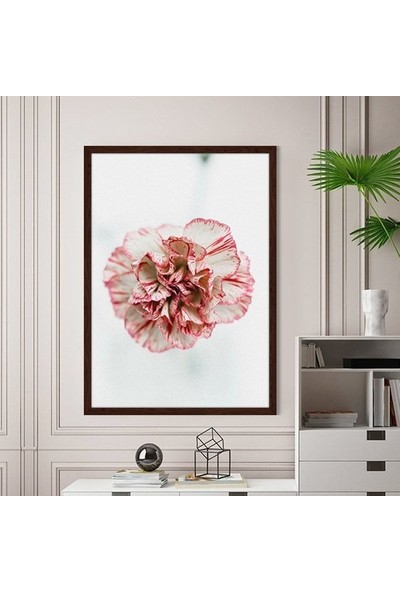 Pembe Karanfil 1 Çerçeve ve Poster - B1163