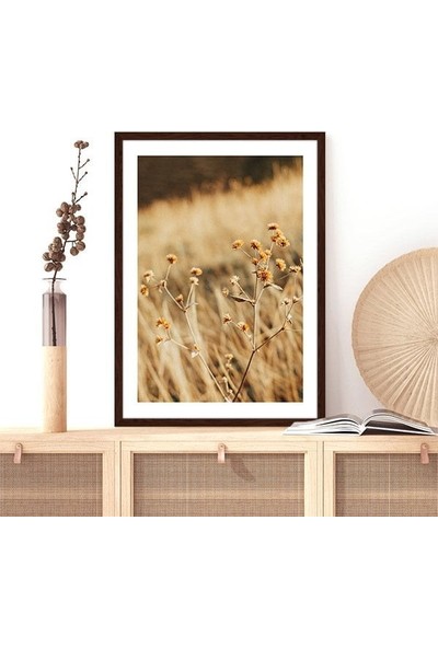 Kahverengi Otlar 1 Çerçeve ve Poster - B1106