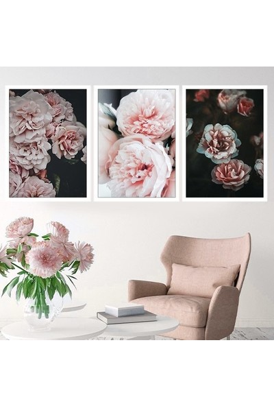 Yavru Ağzı Şakayık 1 Üçlü Çerçeve ve Poster Seti - B1047