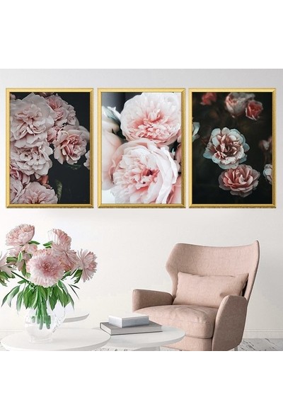 Yavru Ağzı Şakayık 1 Üçlü Çerçeve ve Poster Seti - B1047