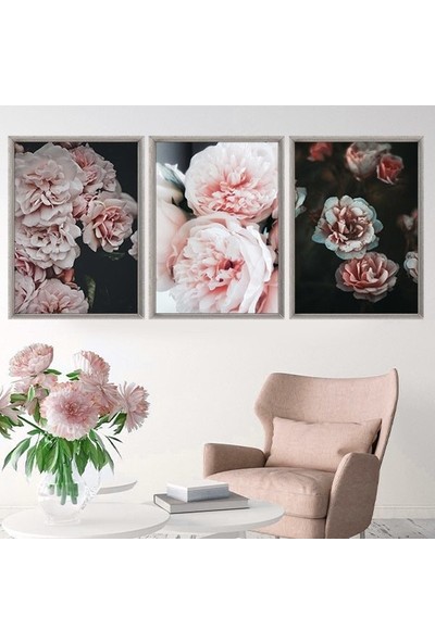 Yavru Ağzı Şakayık 1 Üçlü Çerçeve ve Poster Seti - B1047