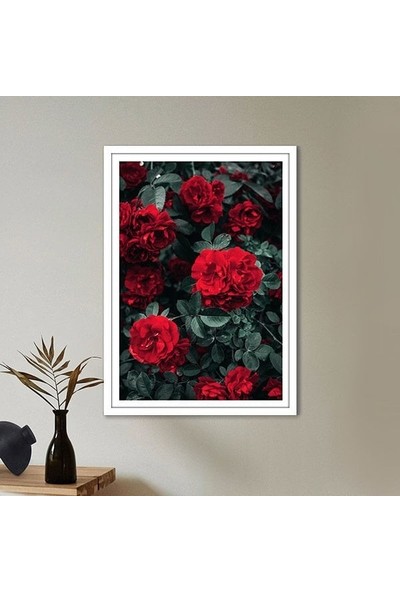 Bordo Güller 3 Çerçeve ve Poster - B1092