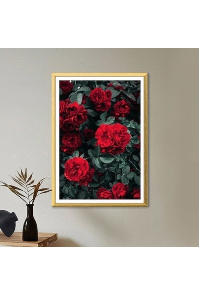 Bordo Güller 3 Çerçeve ve Poster - B1092