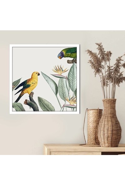 Papağanlar ve Bitkiler 2 Çerçeve ve Poster -  IL1138