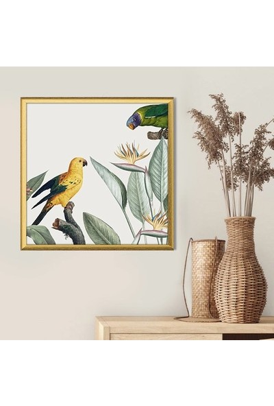 Papağanlar ve Bitkiler 2 Çerçeve ve Poster -  IL1138