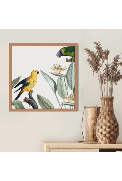 Papağanlar ve Bitkiler 2 Çerçeve ve Poster -  IL1138