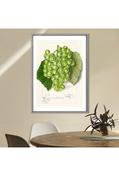 Yeşil Üzümler 1 Çerçeve ve Poster - MT1103