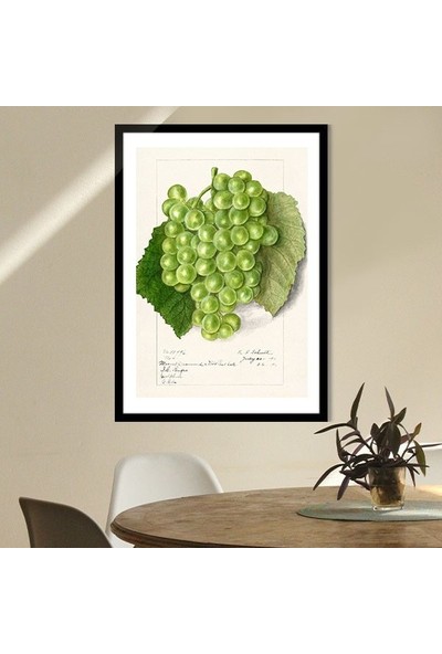 Yeşil Üzümler 1 Çerçeve ve Poster - MT1103