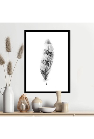 Siyah Kuş Tüyü 2 Çerçeve ve Poster - IL1127