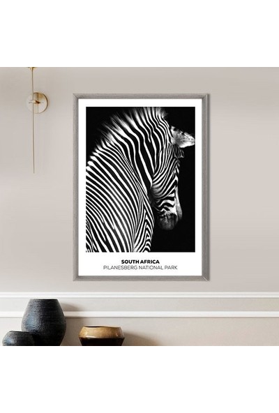Zebra 8 Çerçeve ve Poster - H1054