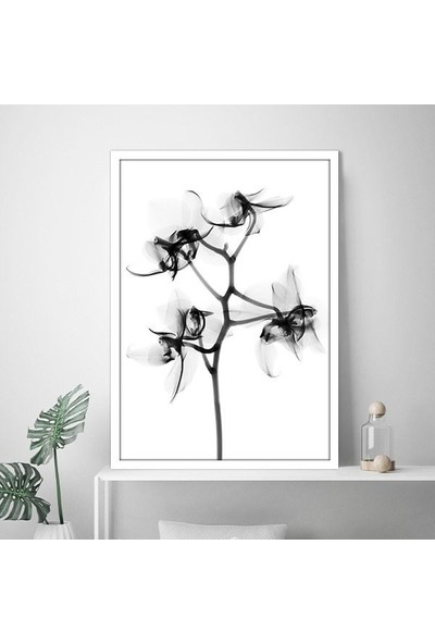 Gölgeli Çiçek 1 Çerçeve ve Poster - SB1079
