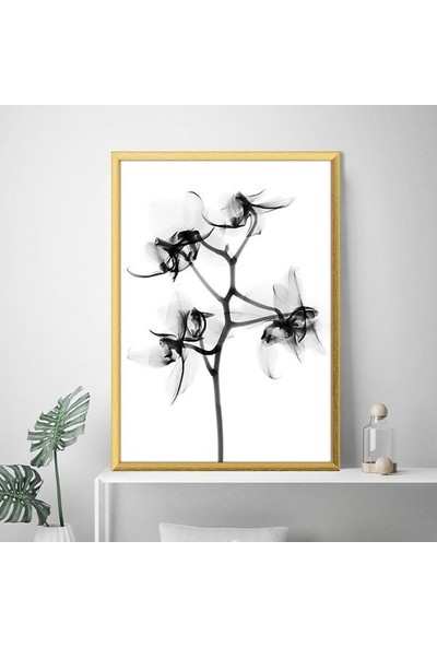 Gölgeli Çiçek 1 Çerçeve ve Poster - SB1079
