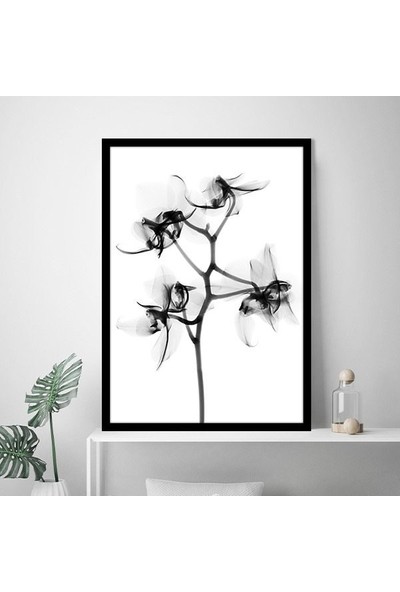 Gölgeli Çiçek 1 Çerçeve ve Poster - SB1079