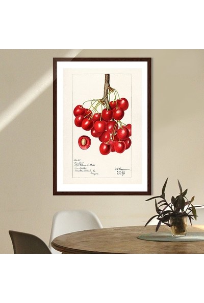 Kiraz 2 Çerçeve ve Poster - MT1052