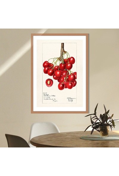 Kiraz 2 Çerçeve ve Poster - MT1052