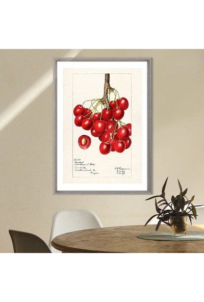 Kiraz 2 Çerçeve ve Poster - MT1052
