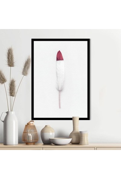 Pembe Detaylı Beyaz Kuş Tüyü 1 Çerçeve ve Poster - H1067