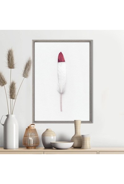 Pembe Detaylı Beyaz Kuş Tüyü 1 Çerçeve ve Poster - H1067