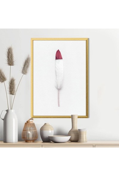 Pembe Detaylı Beyaz Kuş Tüyü 1 Çerçeve ve Poster - H1067