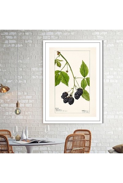 Böğürtlen 1 Çerçeve ve Poster - MT1048