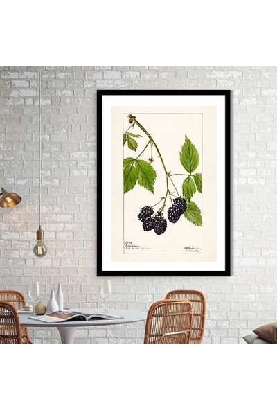 Böğürtlen 1 Çerçeve ve Poster - MT1048