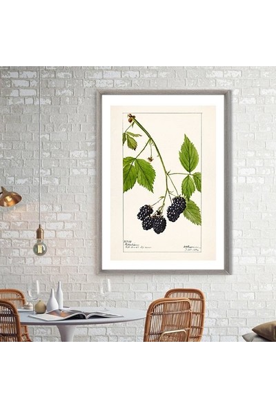 Böğürtlen 1 Çerçeve ve Poster - MT1048