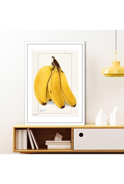 Muz 1 Çerçeve ve Poster - MT1081