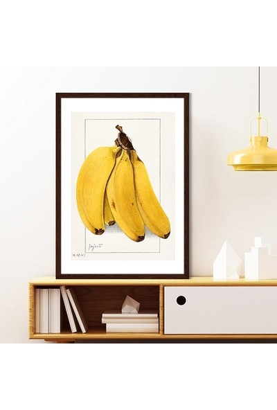 Muz 1 Çerçeve ve Poster - MT1081