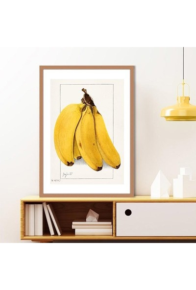 Muz 1 Çerçeve ve Poster - MT1081