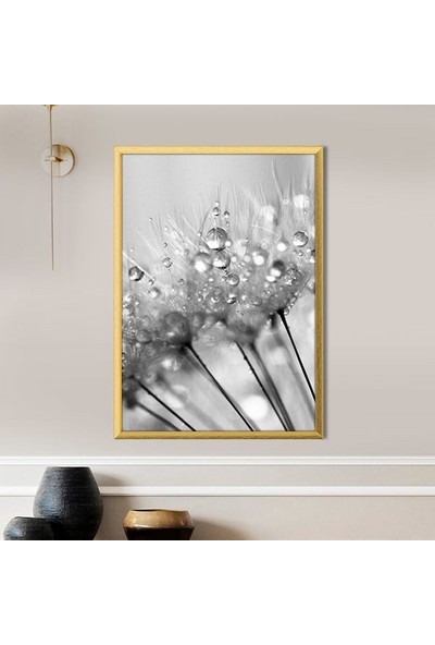 Yağmur Damlalı Karahindiba 2 Çerçeve ve Poster - SB1066