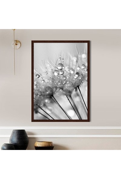 Yağmur Damlalı Karahindiba 2 Çerçeve ve Poster - SB1066