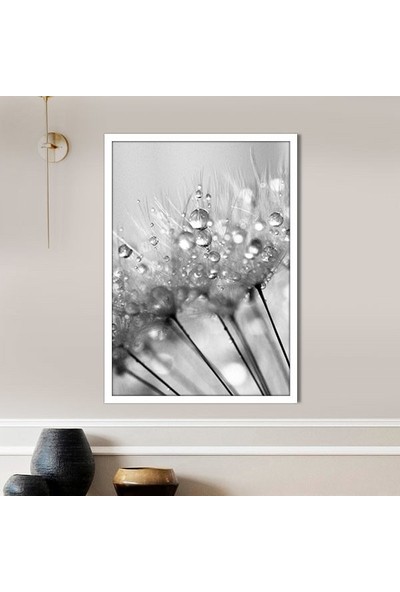 Yağmur Damlalı Karahindiba 2 Çerçeve ve Poster - SB1066