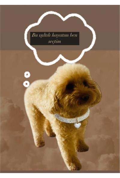 Taşlı Köpek Kolye Tasma Aksesuarı (Istediğiniz Harfi Mesaj Olarak Belirtin)