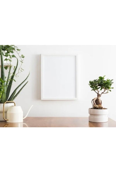 Elite 30X40 Poster Resim Fotoğraf Çerçevesi Yatay Dikey Kullanım 1 Adet