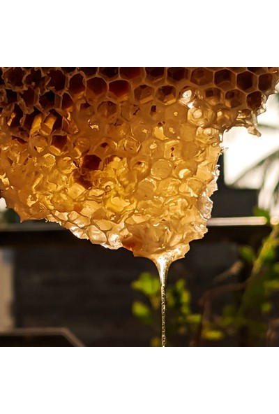 Erzurum Çita Petek Bal 2 kg – Geleneksel Lezzet, Sofralarınıza Tat Katın