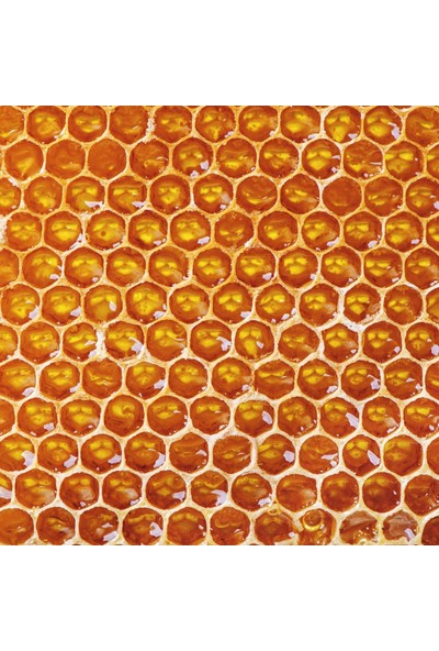 Erzurum Çita Petek Bal 2 kg – Geleneksel Lezzet, Sofralarınıza Tat Katın