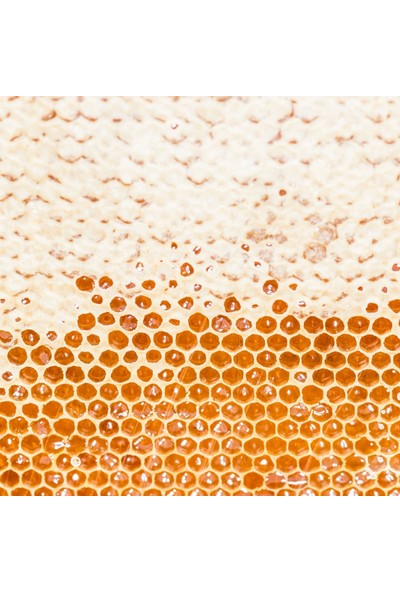 Van Yöresi Bal - Geleneksel Yöresel Lezzet, Yoğun Aroma