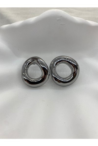 Arasera 316L Çelik Gümüş Renk Küpe