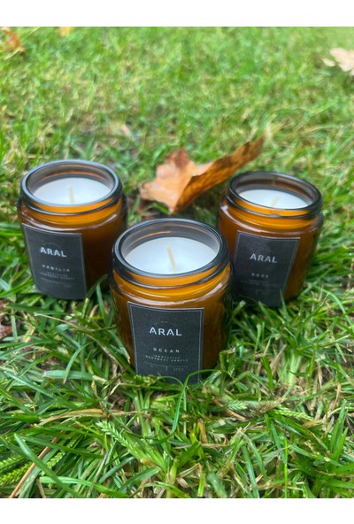 ARALMİNİ 3'lü Set Kokulu Tasarım Mum Amber 100 ml Cam Kavanoz