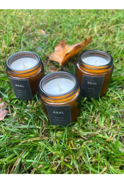 ARALMİNİ 3'lü Set Kokulu Tasarım Mum Amber 100 ml Cam Kavanoz