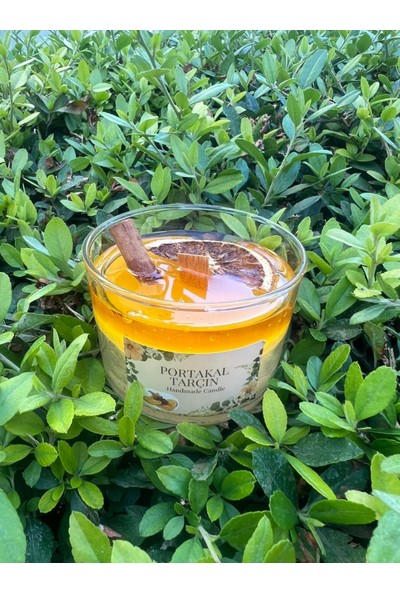 ARALMİNİ Portakal Tarçın Kokulu Tasarım Bardak Mum Parafin ve Jel Mum