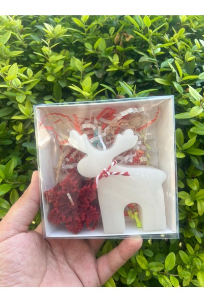 ARALMİNİ 2 Adet Yılbaşı Hediyelik Geyik ve Kar Tanesi (Yeşil ve Kırmızı) Renk Seçenekleriyle