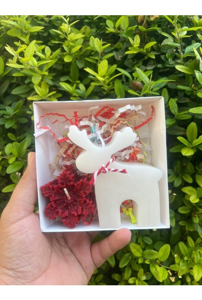 ARALMİNİ 2 Adet Yılbaşı Hediyelik Geyik ve Kar Tanesi (Yeşil ve Kırmızı) Renk Seçenekleriyle