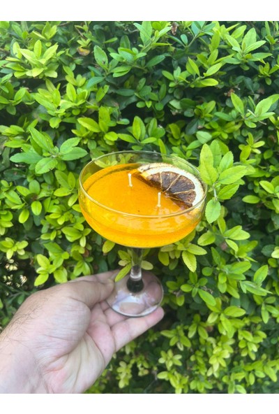 ARALMİNİ Kokteyl Mum Tasarım El Yapımı Orman Meyveli Aromaterapi Mum