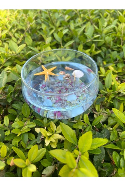 ARALMİNİ Sophia Akvaryum Tasarım Fanus Okyanus Kokulu Mum