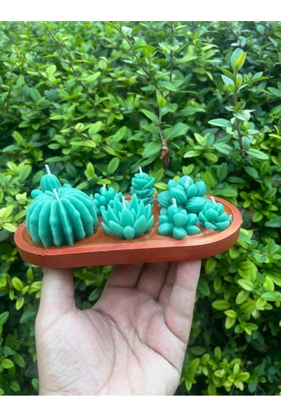 ARALMİNİ Tasarım Kaktüs Mum Alçı Saksı Içinde Toprak Görünümlü Kaktüs Kokulu Mum