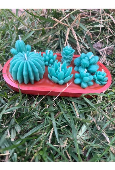 ARALMİNİ Tasarım Kaktüs Mum Alçı Saksı Içinde Toprak Görünümlü Kaktüs Kokulu Mum