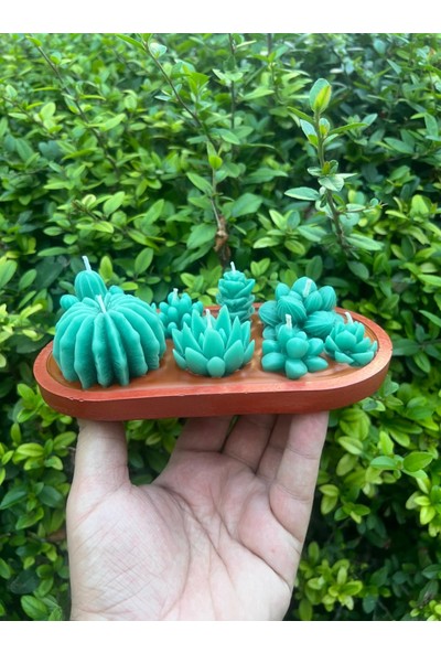 ARALMİNİ Tasarım Kaktüs Mum Alçı Saksı Içinde Toprak Görünümlü Kaktüs Kokulu Mum