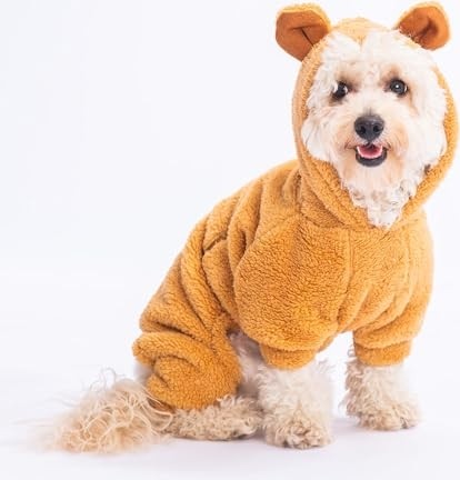 Frefly Store Latte Koala Peluş Küçük Irk Köpek Tulumu (L) görsel 2