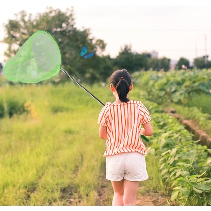 Açık Hava Alıcı Alıcı Kelebek Net Balık Ağı Çantası Paslanmaz Çelik Teleskopik Balık Ağı Aracı Açık Hava Teleskopik Taşınabilir Alıcı Alıcı Net-Yeşil (Yurt Dışından) fiyatları